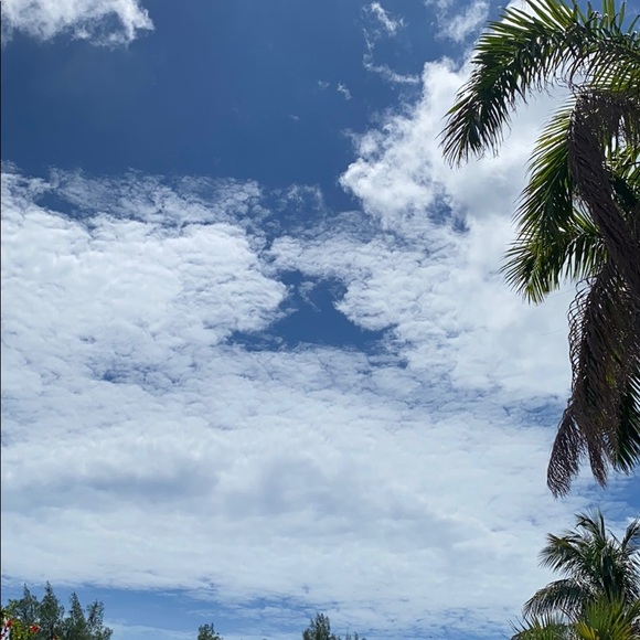 Jacob - Picture 1 of 1